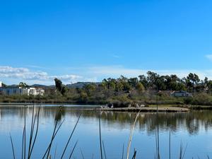 San Joaquin Wildlife Sanctuary Marsh